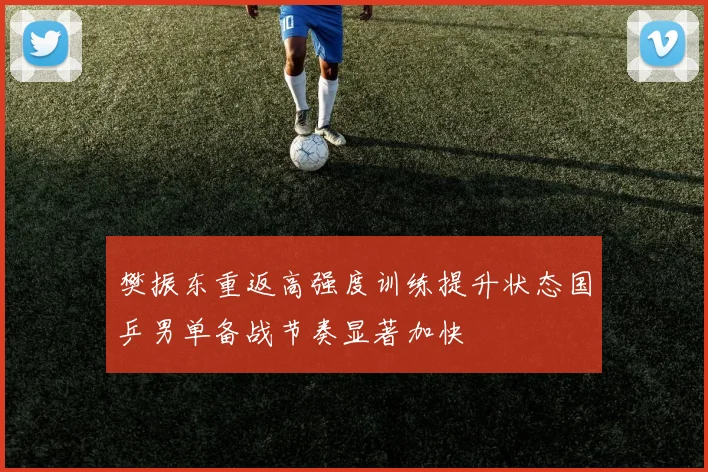 樊振东重返高强度训练提升状态国乒男单备战节奏显著加快